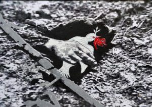 guerre 1914-1918 - 01