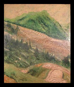 Rizières