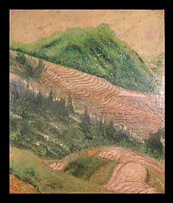 Rizières