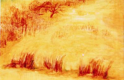 terre_brulee